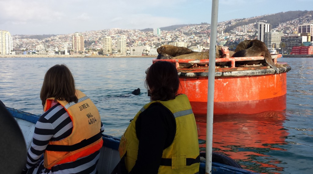 Boat tour of Valparaiso harbor.