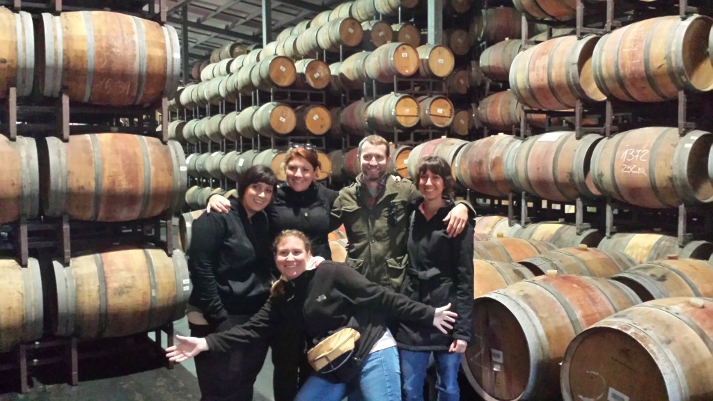 Sustainable Management master’s students during a tour of the Concho y Toro winery cellar.