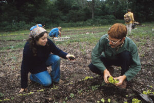 Two students gardening on campus at UW-Green Bay in 1973.