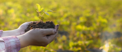 Educational Synergy: How One Student Used Biodiversity Conservation and Management Graduate Certificates to Boost Her Master’s Degree 