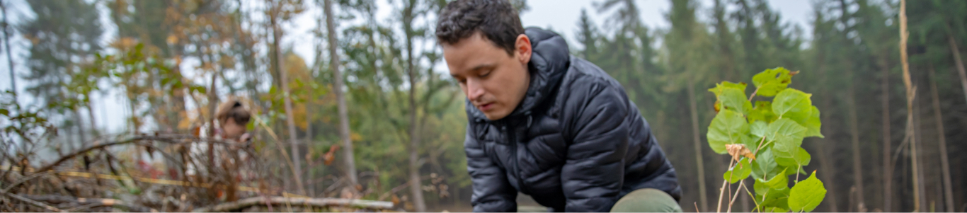 conservation worker planting saplings in a field