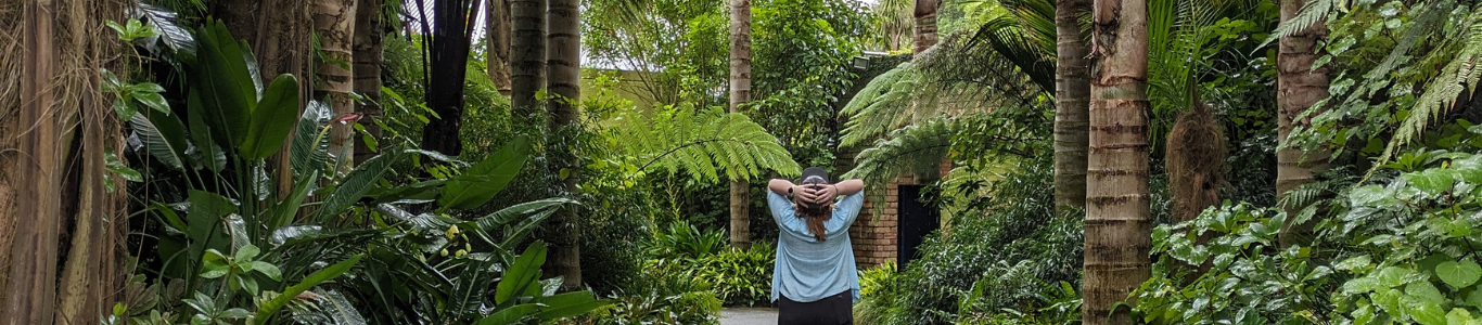 Sustainable Management student Hazel Ratka standing on a wet pathway surrounded by lush tropical plants and tall palm trees in a serene garden setting.